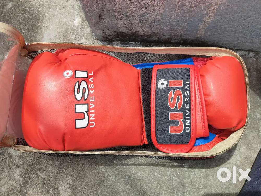 BOXING Gloves