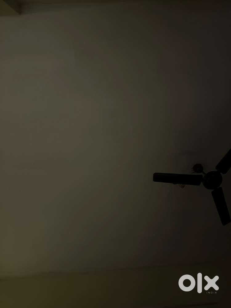 Looking for tea and tiffin masters