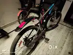 Emotorad electric cycle