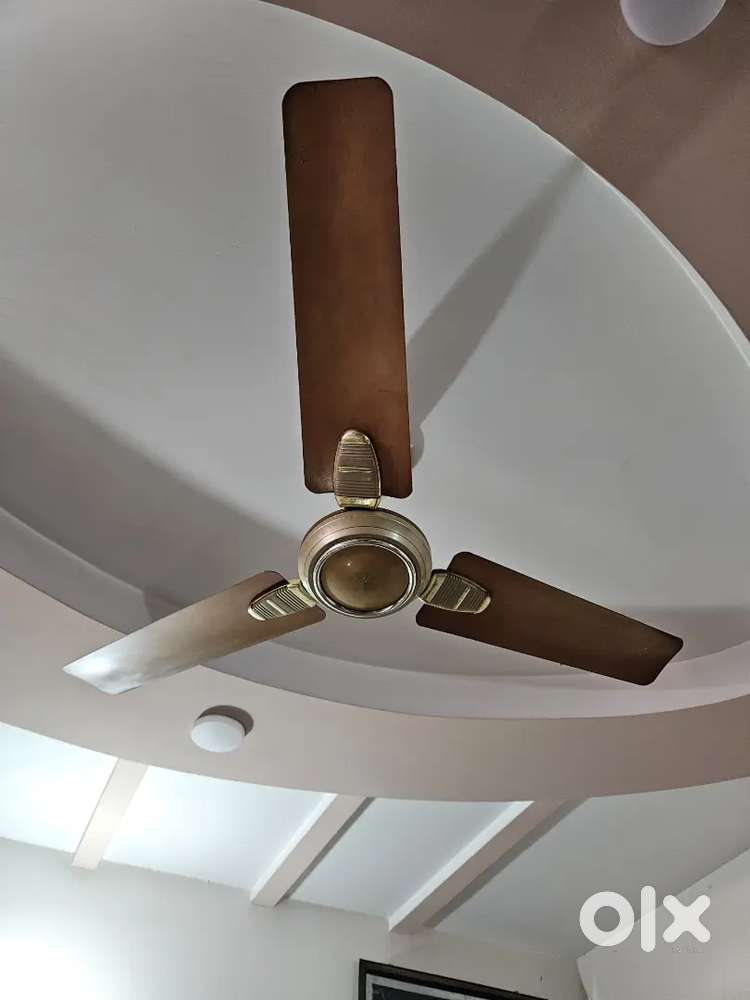 Ceiling fans