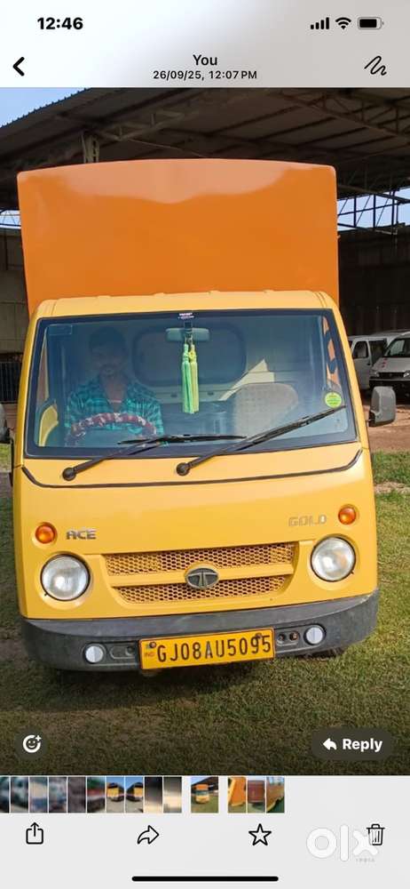 Tata food van ace gold yellow n brown color