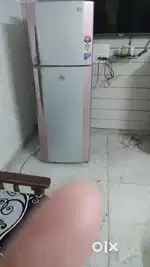 Double Door LG Refrigerator