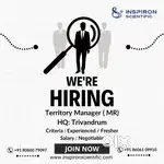 Sales Executive
