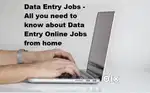 Home based job data entry typing work