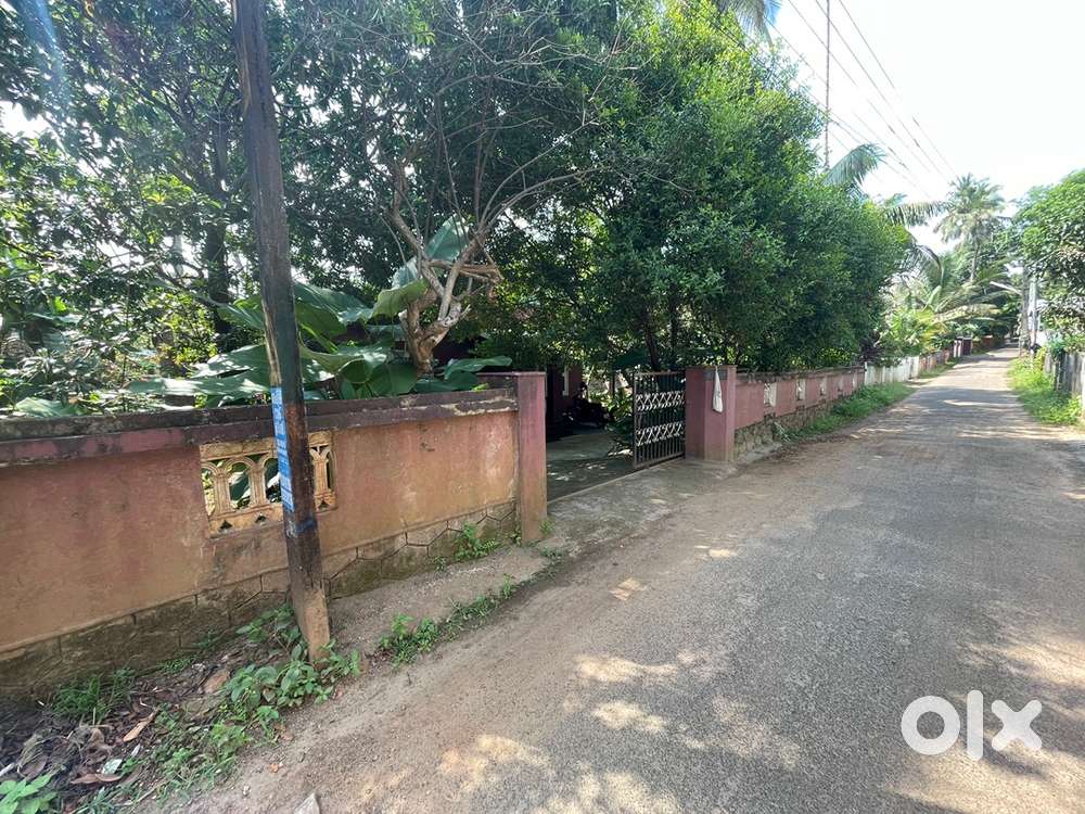 11 cent square land for sale