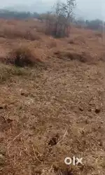 12LAKHS PER ACRE-1.5ACRES AGRICULTURE LAND FOR SALE IN MANGAON