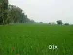Investment purpose agriculture land , 45 Km to Varanasi