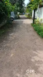 Plots for sale near nadakkavu school
