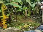Plot for sale