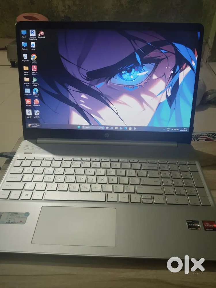 HP AMD Ryzen 5 AMD RADEON Graphics