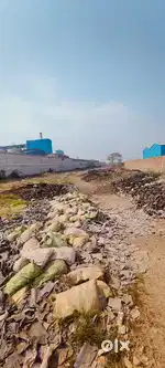 Need agriculture land