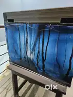 Glass fish aquarium