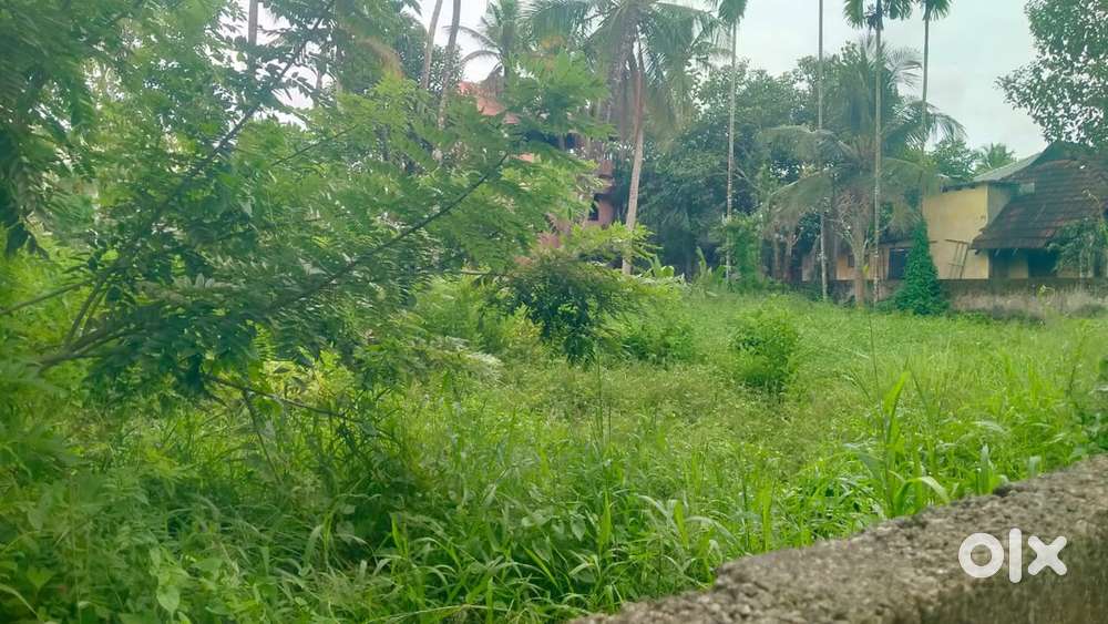 20 cent land for sale near Thripunithura Eroor