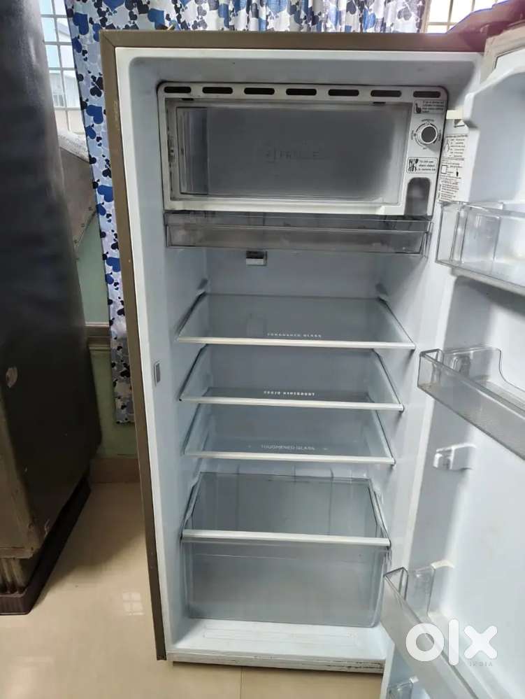 Fridge neatly maintained
