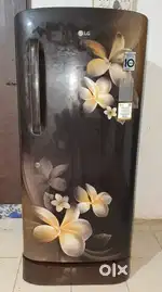 Lg single door refrigerator
