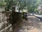 Thiruvankulam, kurikkad indipended 5.5cent plot for sale