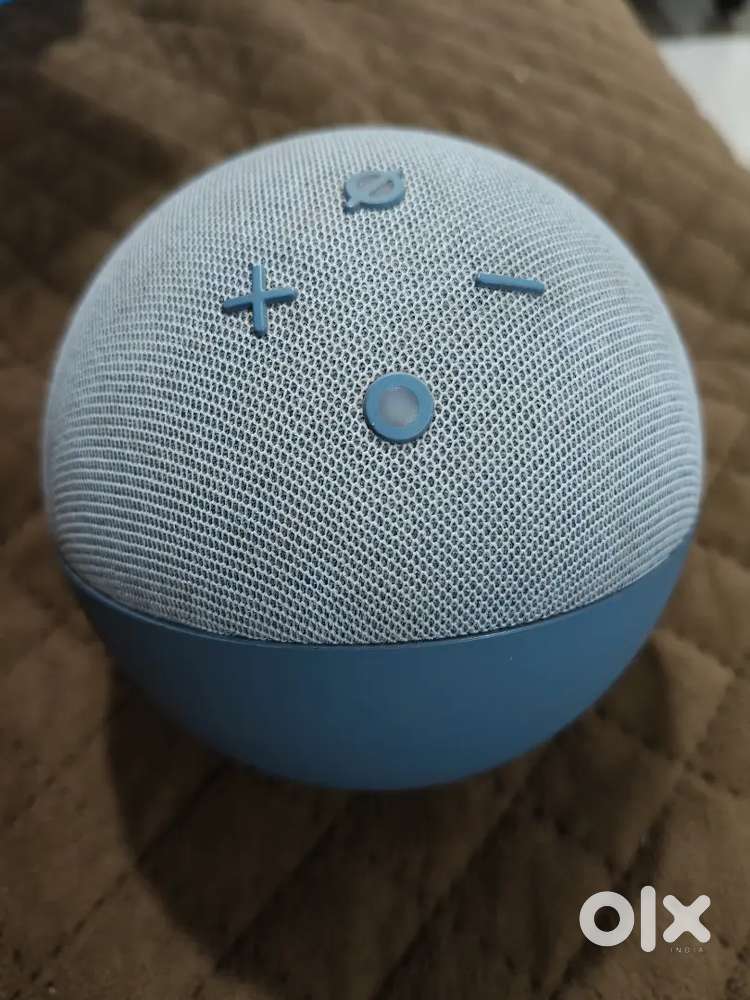Alexa echo dot