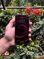 Iphone 12 / 64 GB