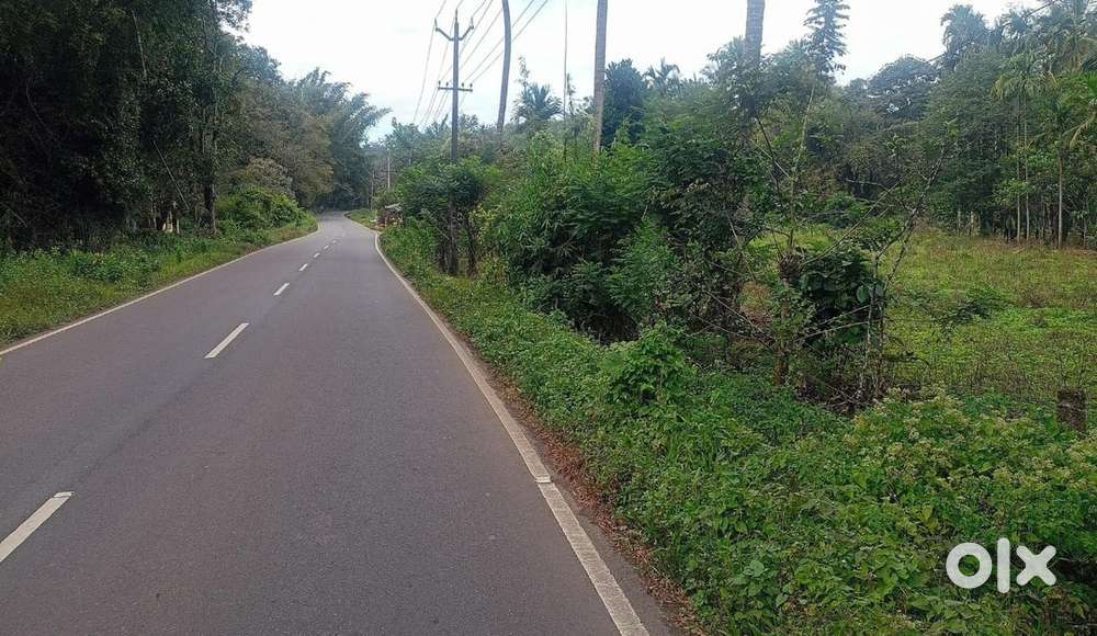 സുൽത്താൻ ബത്തേരി ഹൈവേ സൈഡിൽ 80 സെന്റ്