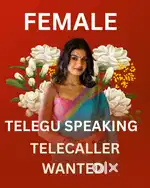 Work from Home Telugu speaking female experience Telecaler  GRAND Tea