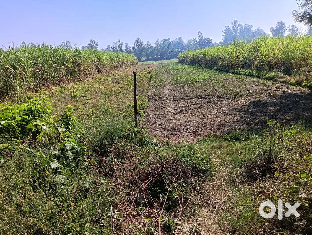 Land khet main road for Sale