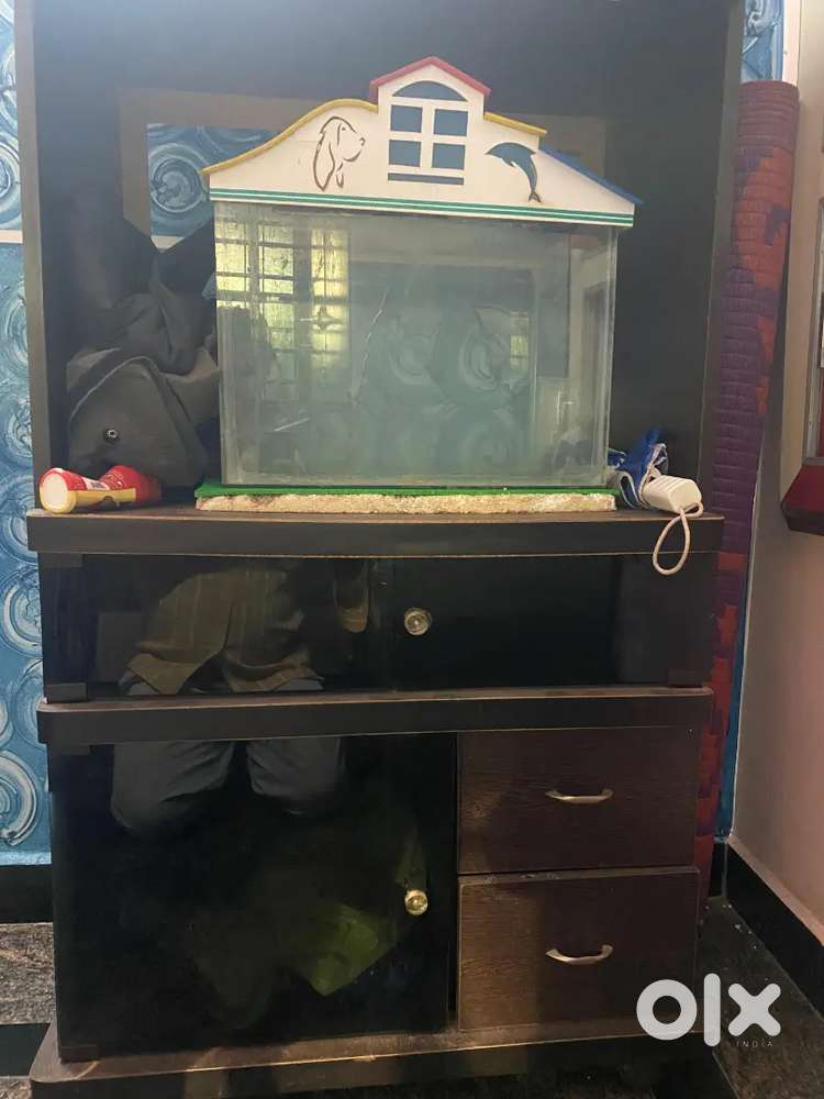 Television stand cum Computer table