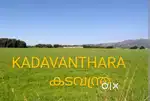 55 cent with 7 METER wide road in front of land. Price 16 lakh.