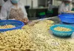 Wanted m/f packing /warehouse  helpers with food/ accomdation