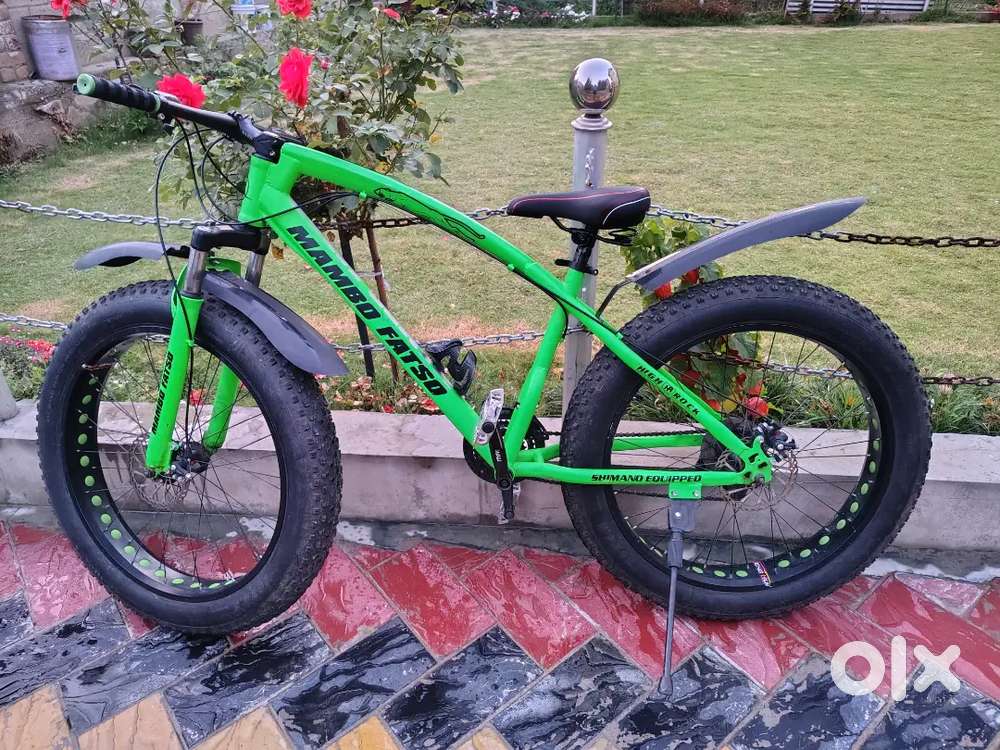 All-Terrain Fat Bike - Smooth Ride, Rugged Style