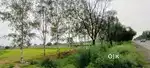 3600 gaj On road Jhajjar to rohtak road