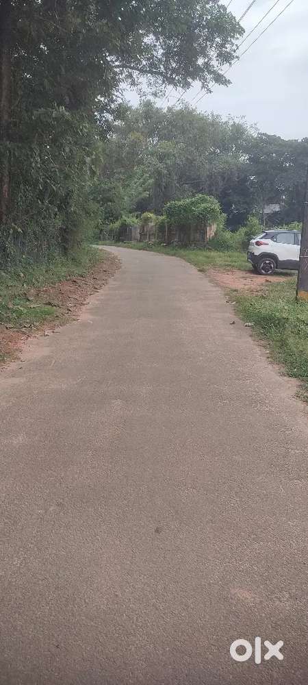 18 cent 3 side road square plot(parambhu) good area