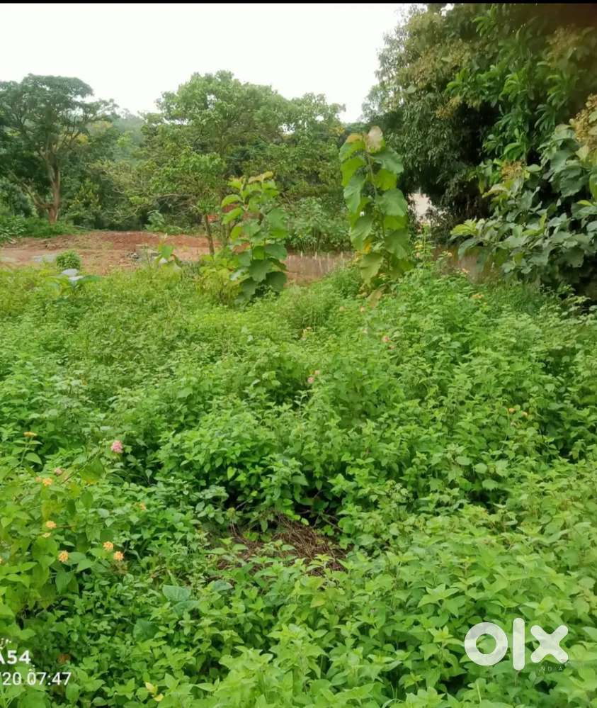 10 Cents General Land with Ghar vadi Document