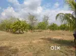 Beautiful Big Land/Plot for sale