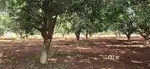 SOMAJIGUDA MAIN ROAD 2ND PLOT FOR SALE