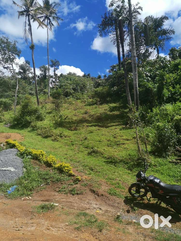 Best plot For Resort guest house and home stay