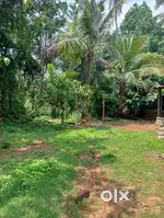 Land for sale in Sirsi city