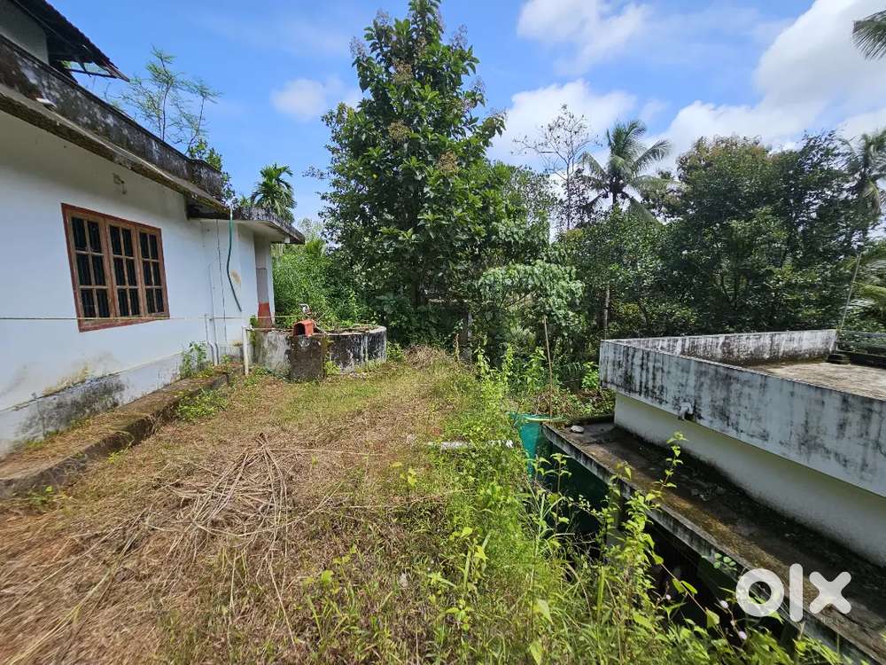 14 cent land with a house in it suitable for family