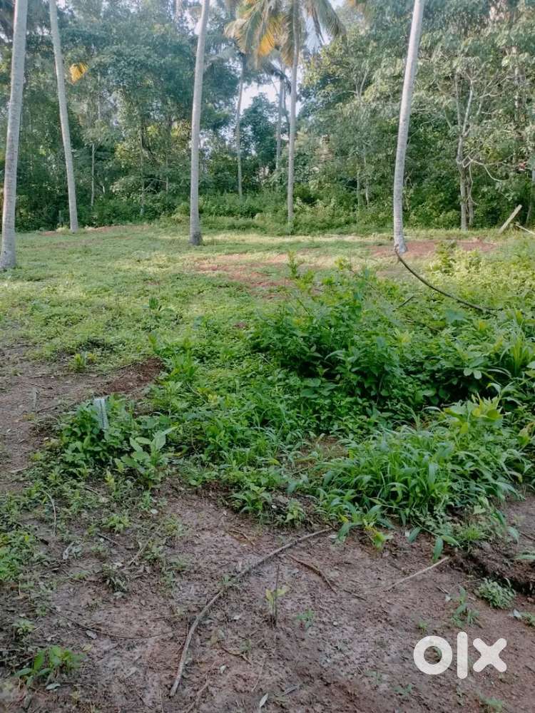 Plot in chirayinkeezhu azhoor road