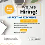 Sales & Marketing Executive