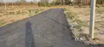 Best plot in Naini