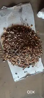 Paking loading unloading work