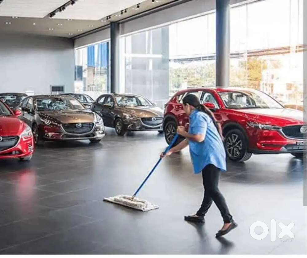 Wanted Female Cleaning Staff @ Car Showroom