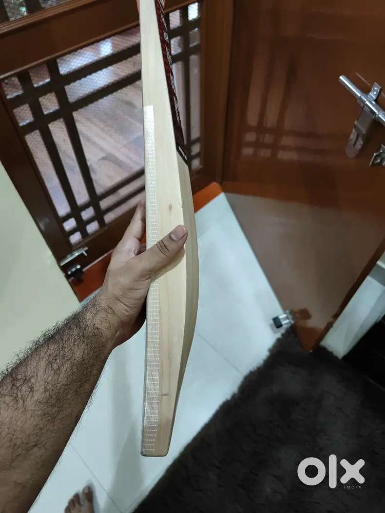 Cricket bat hybrid Willow