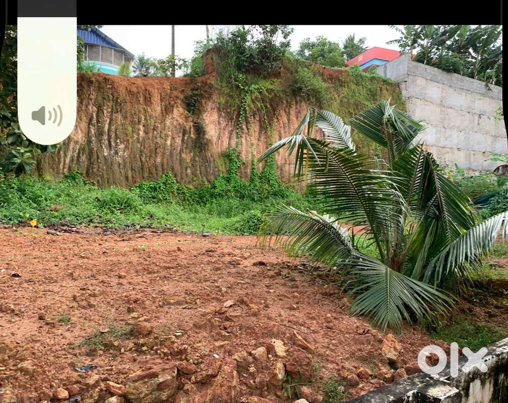 8 cent near enikkara