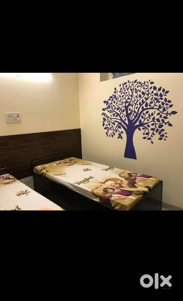 PG for girls fully furnished ( City centre metro sector 35 noida)