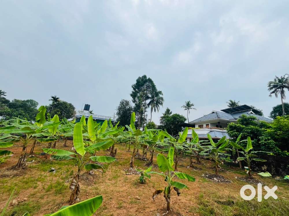 25 cent with South facing plot and high future for the phase 3