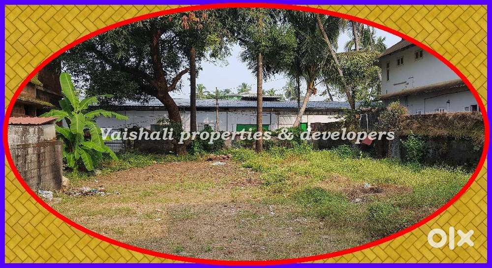 9 cents House plot for sale-Nadakkavu &lts 100 mtrs from Wayanad Road