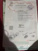 plot 250 gaj ka