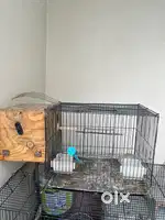 Birds cage for sale with breeding box in it