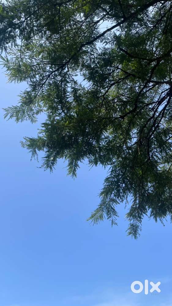 Plot available in Mahe Chalakkara